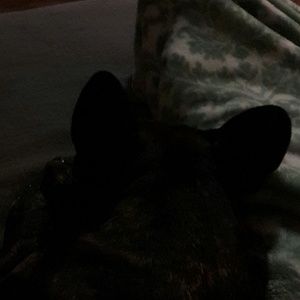 Meet your Posher, Forrest